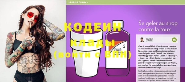 дживик Абаза