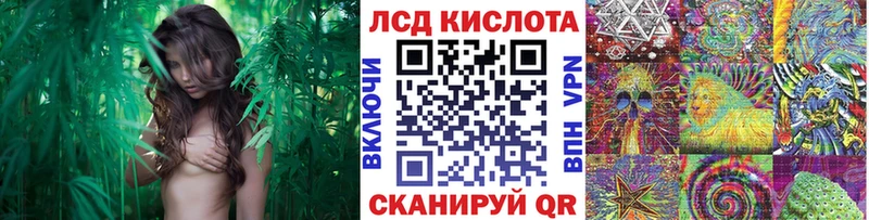 хочу   Кириллов  ссылка на мегу вход  Марки N-bome 1,8мг 