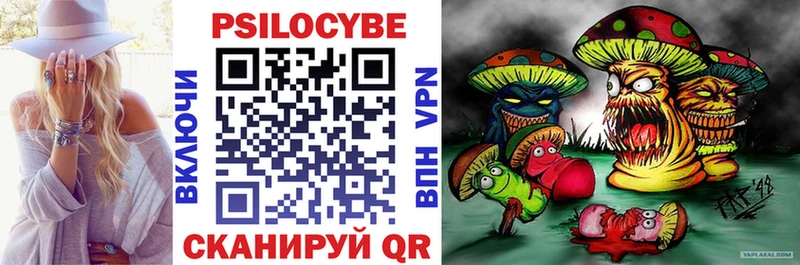 где найти   Кириллов  Псилоцибиновые грибы Psilocybine cubensis 